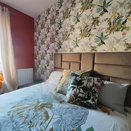 Appartement Jacuzzi Privatif - Amazonie - 1 Ou 2